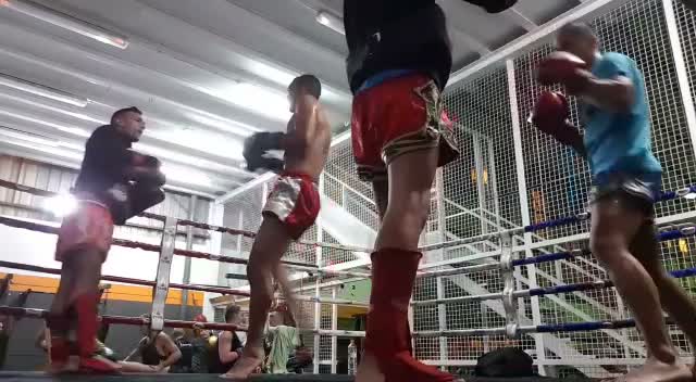 Muay Thai and Brazilian jiu-jitsu